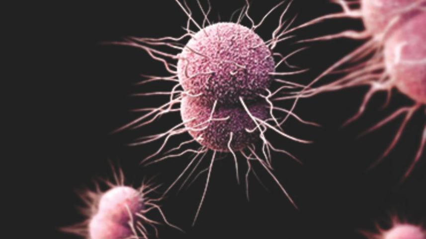 Gonorrhoea.jpg