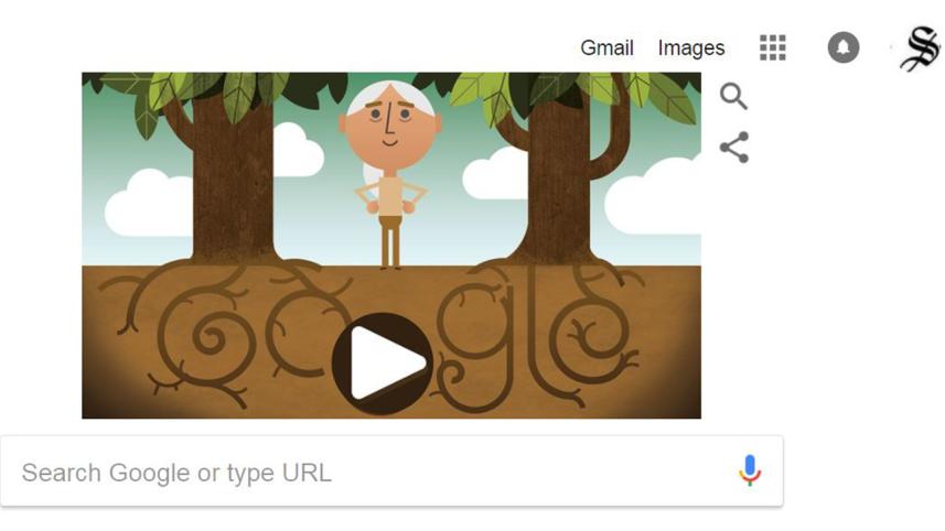 google-web.jpg