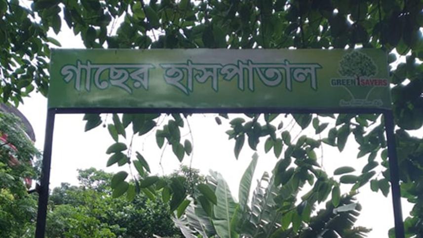 Green-Eid-Himadri-web.jpg