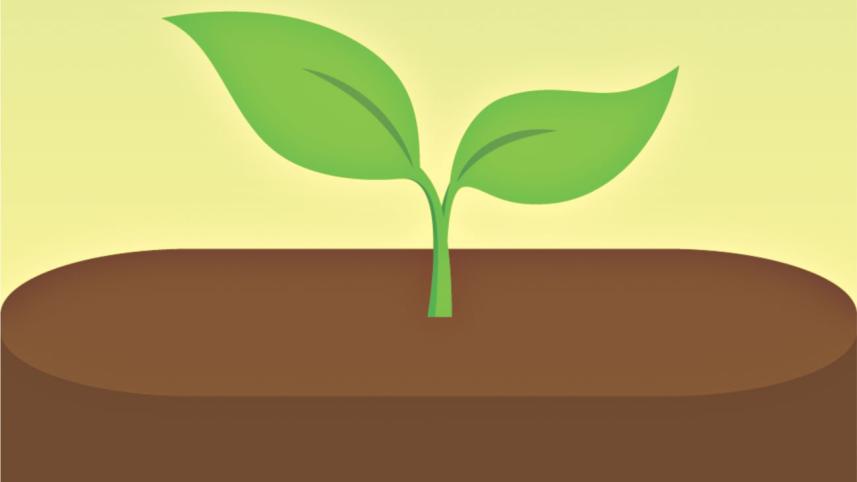green.jpg