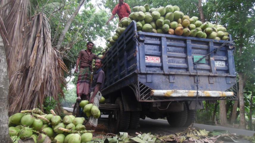 Green coconut.jpg