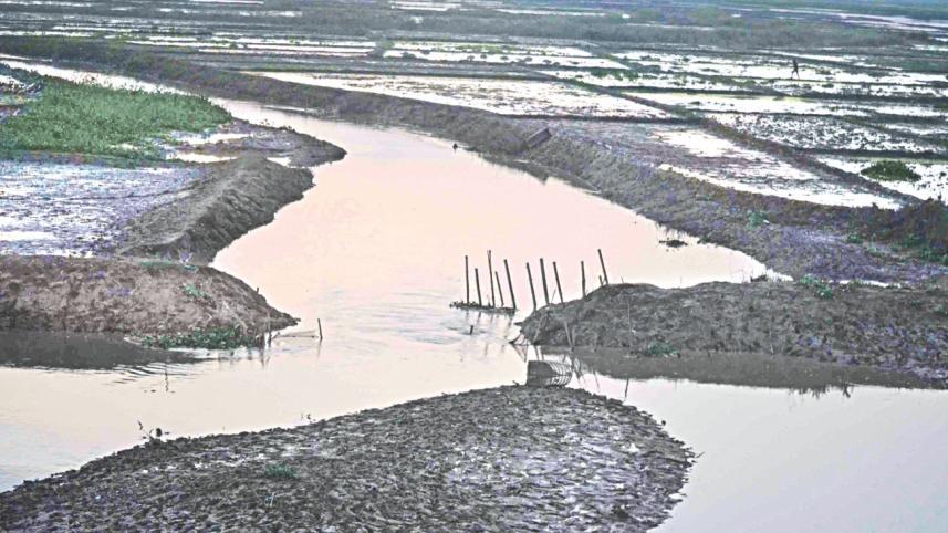 Gugalicherra.jpg