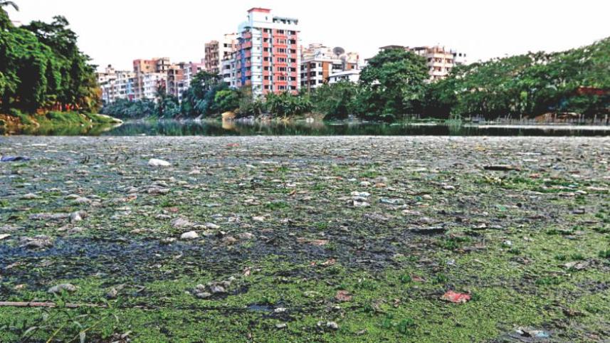 gulshan_lake 1.jpg