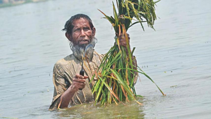 haor_2.jpg