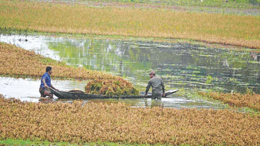 haor project.jpg