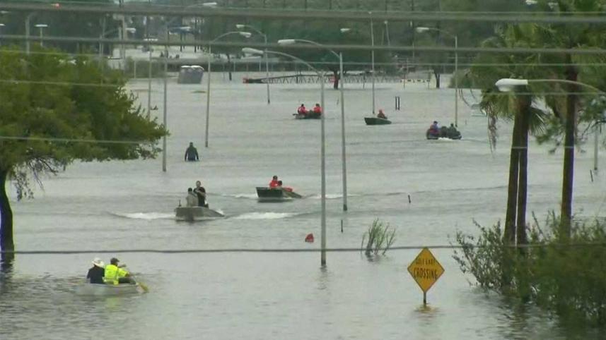 Harvey-2WB.jpg