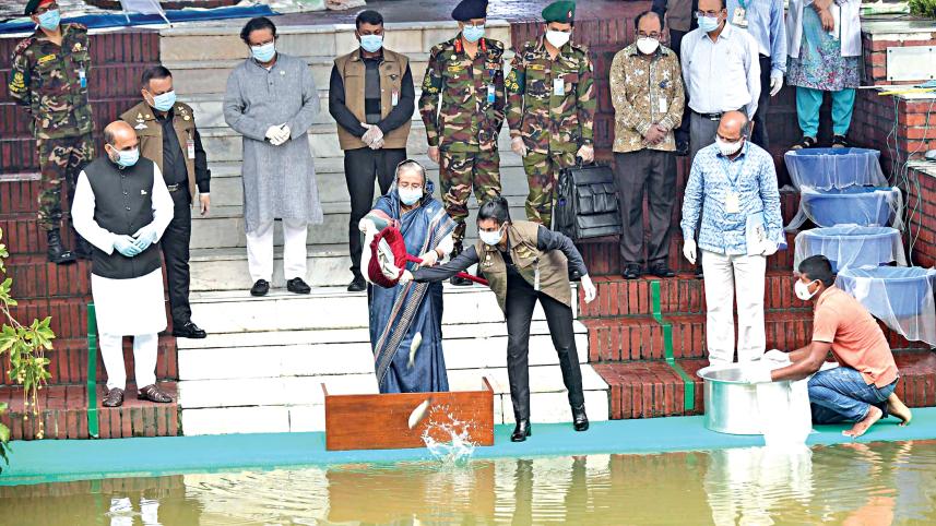 hasina.jpg