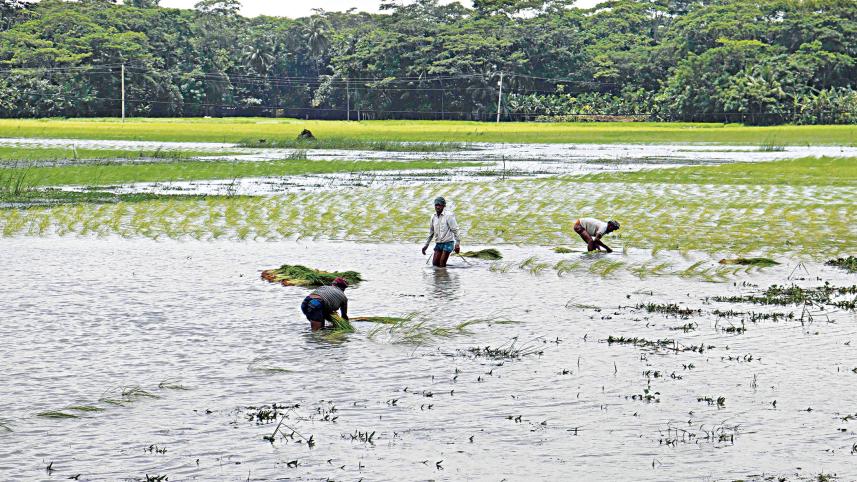 Incessant-rains-and-floods.jpg