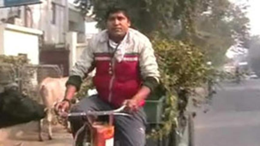 India-Boxer--2WB.jpg