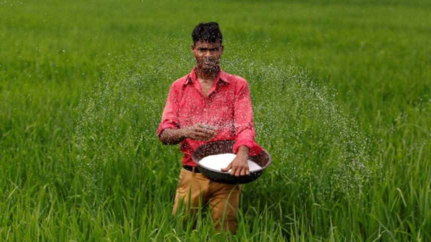 India rice rates.jpg