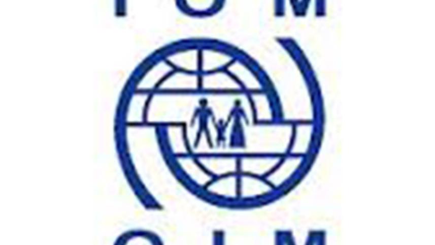 iom small new.jpg