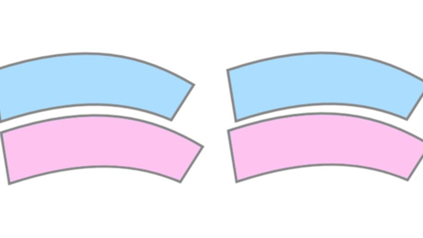 Jastrow-illusion-1-web.jpg