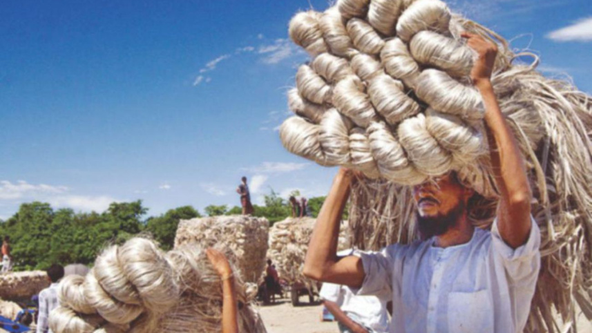 Jute.jpg