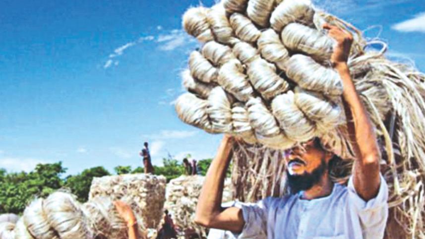 Jute.jpg