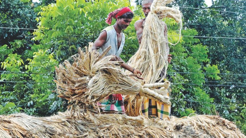 jute 1.jpg