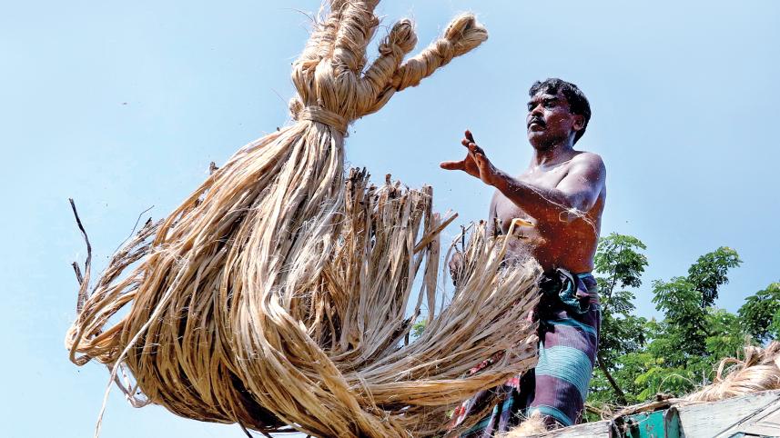 jute 1.jpg