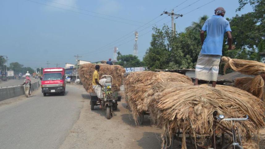 Jute.jpg