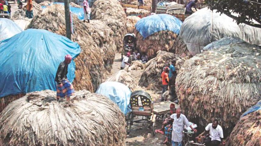 Jute growers