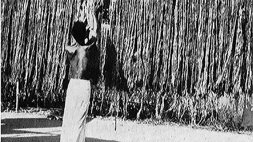 jute sharing 1.jpg