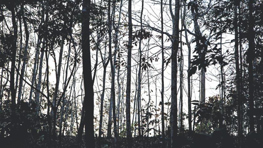 Kalenga.jpg