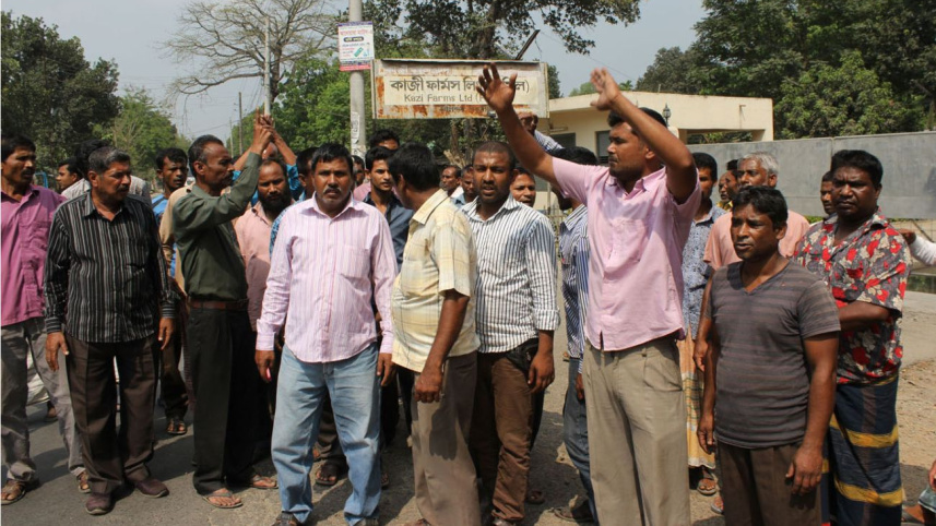 kazi farm agitators.jpg