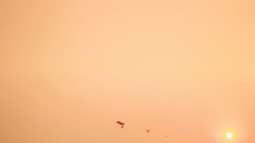 Kite