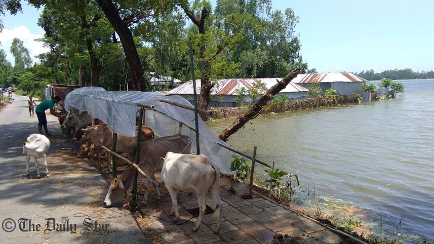 Flood in Kurigram