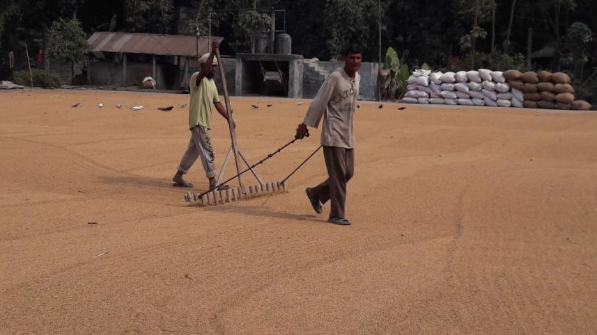 Lalmonirhat rice mills.jpg