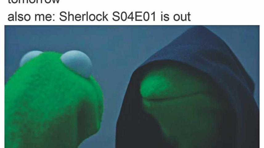 LIVING AS KERMIT