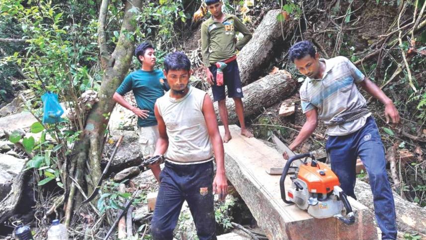 loggers.jpg