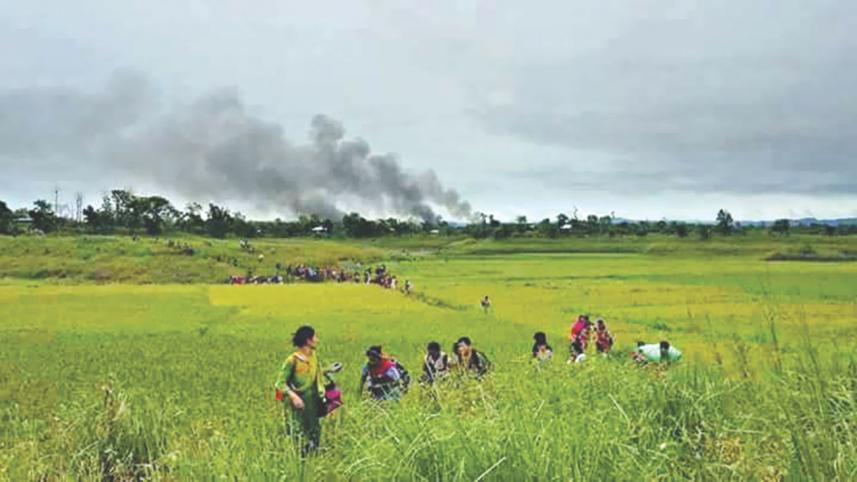 longadu.jpg