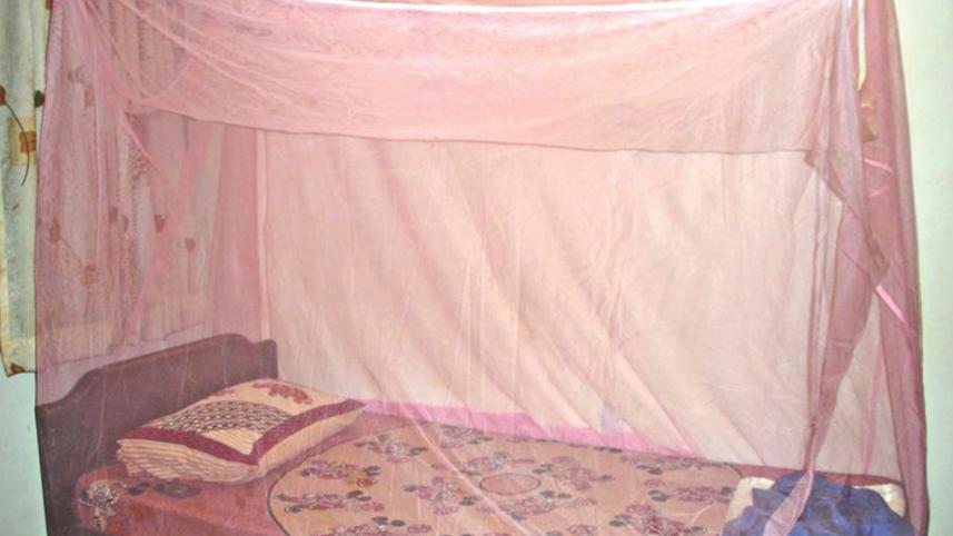 malaria.jpg