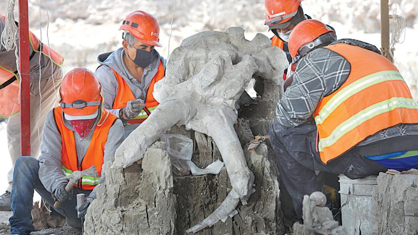 Mammoth.jpg