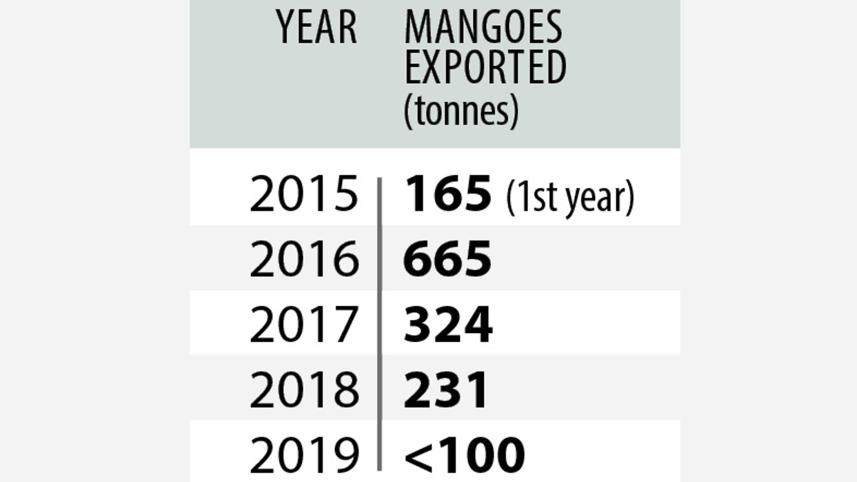 mango-exp.jpg