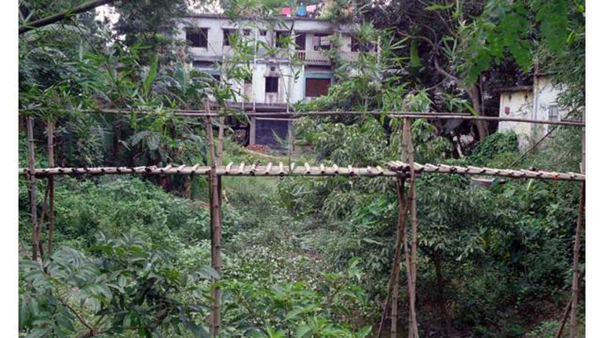 Manikganj-canal