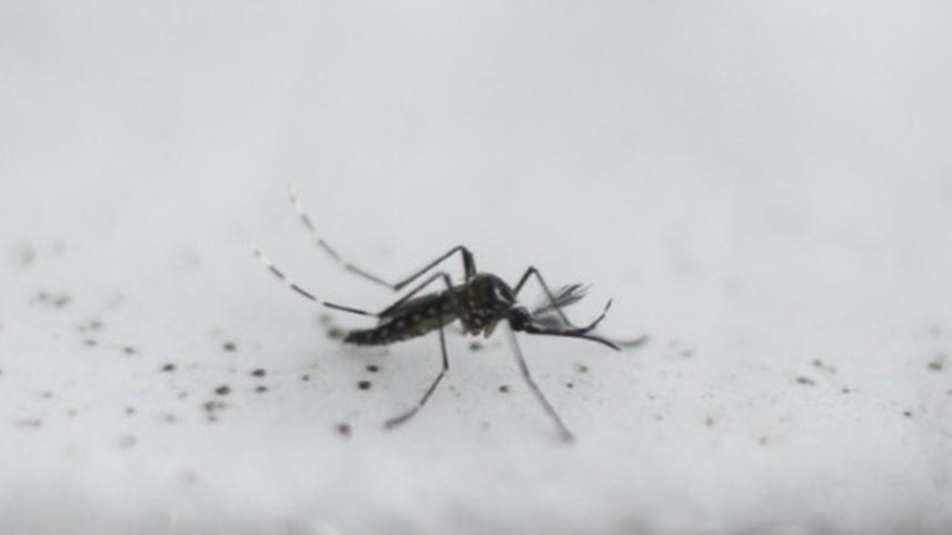 microplastics.jpg