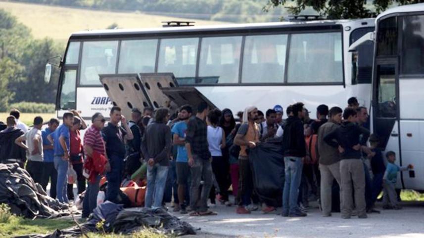 migrant-web.jpg