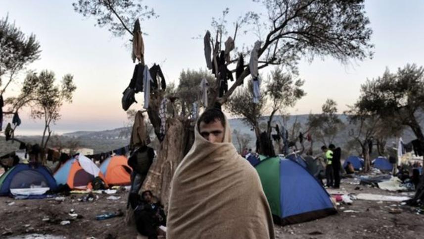 Migrants-1WB.jpg