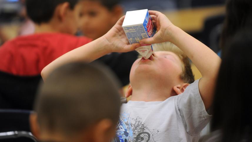 milk-myth-AP-NEW.jpg