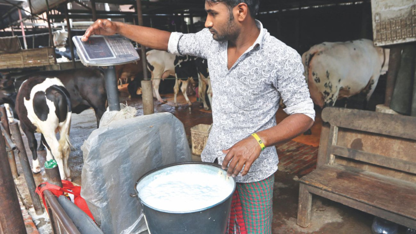 milk 1.jpg
