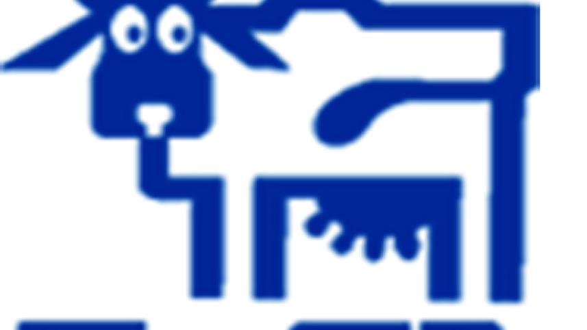 milk vita new.jpg