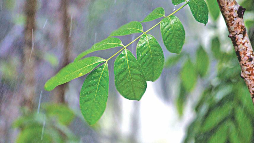 monsoon.jpg