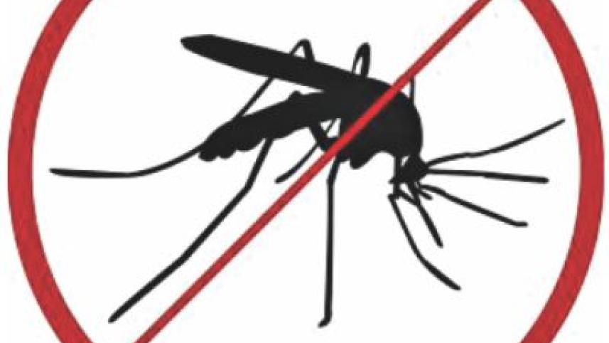 mosquite.jpg