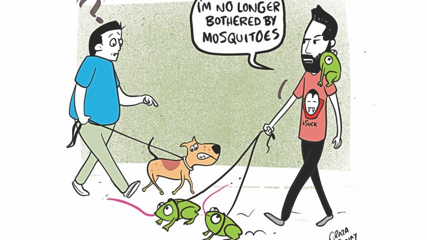mosquito.jpg