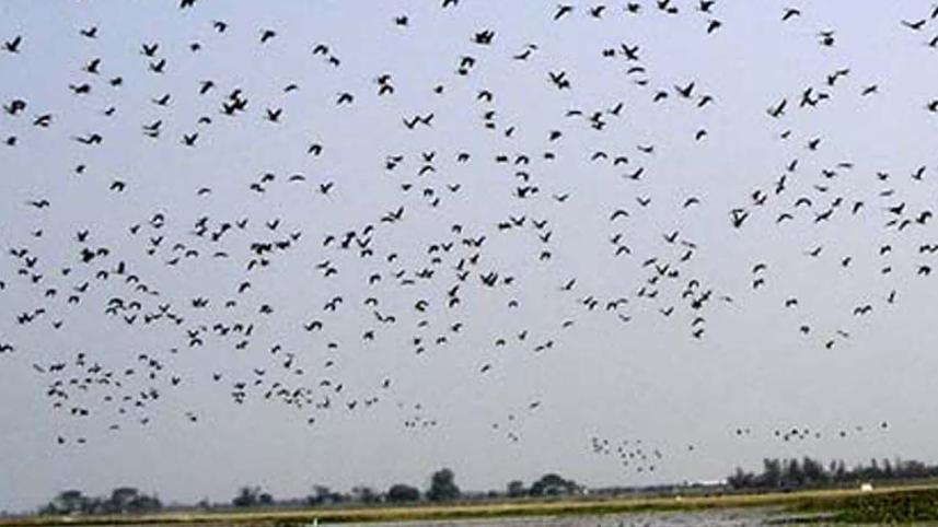 Moulvibazar (1).jpg