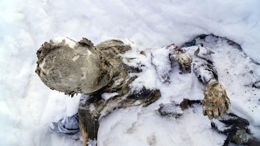 mummified bodies.jpg