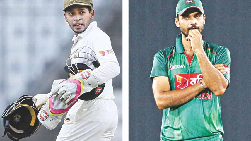 mushy mortaza.jpg