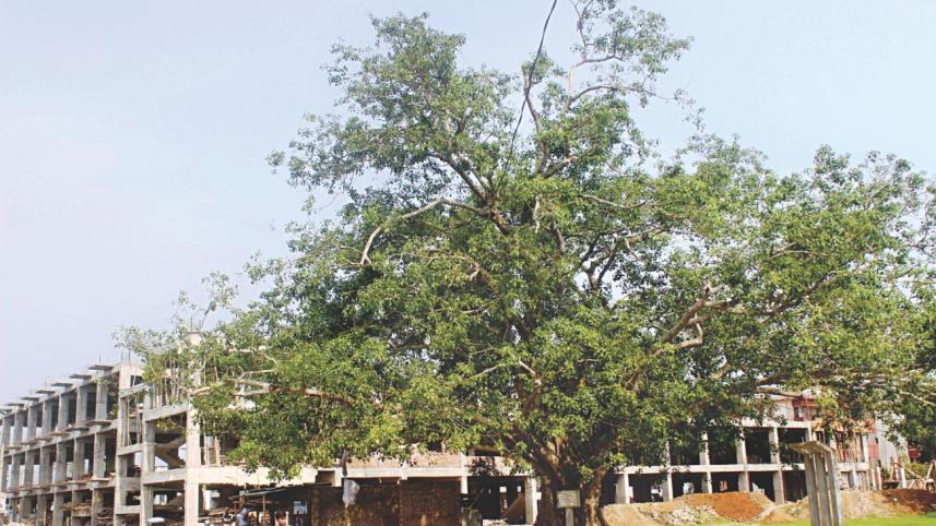 nazrul.jpg