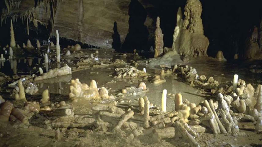 Neanderthals-1WB.jpg