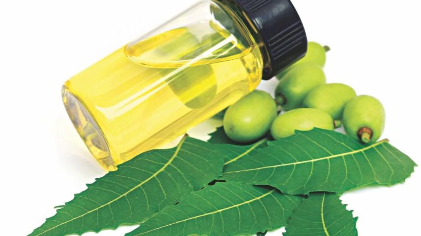 neem